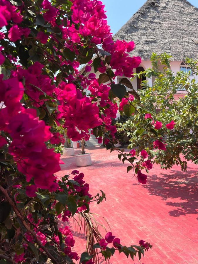 Villa Euphoria - Adults Only Paje Εξωτερικό φωτογραφία