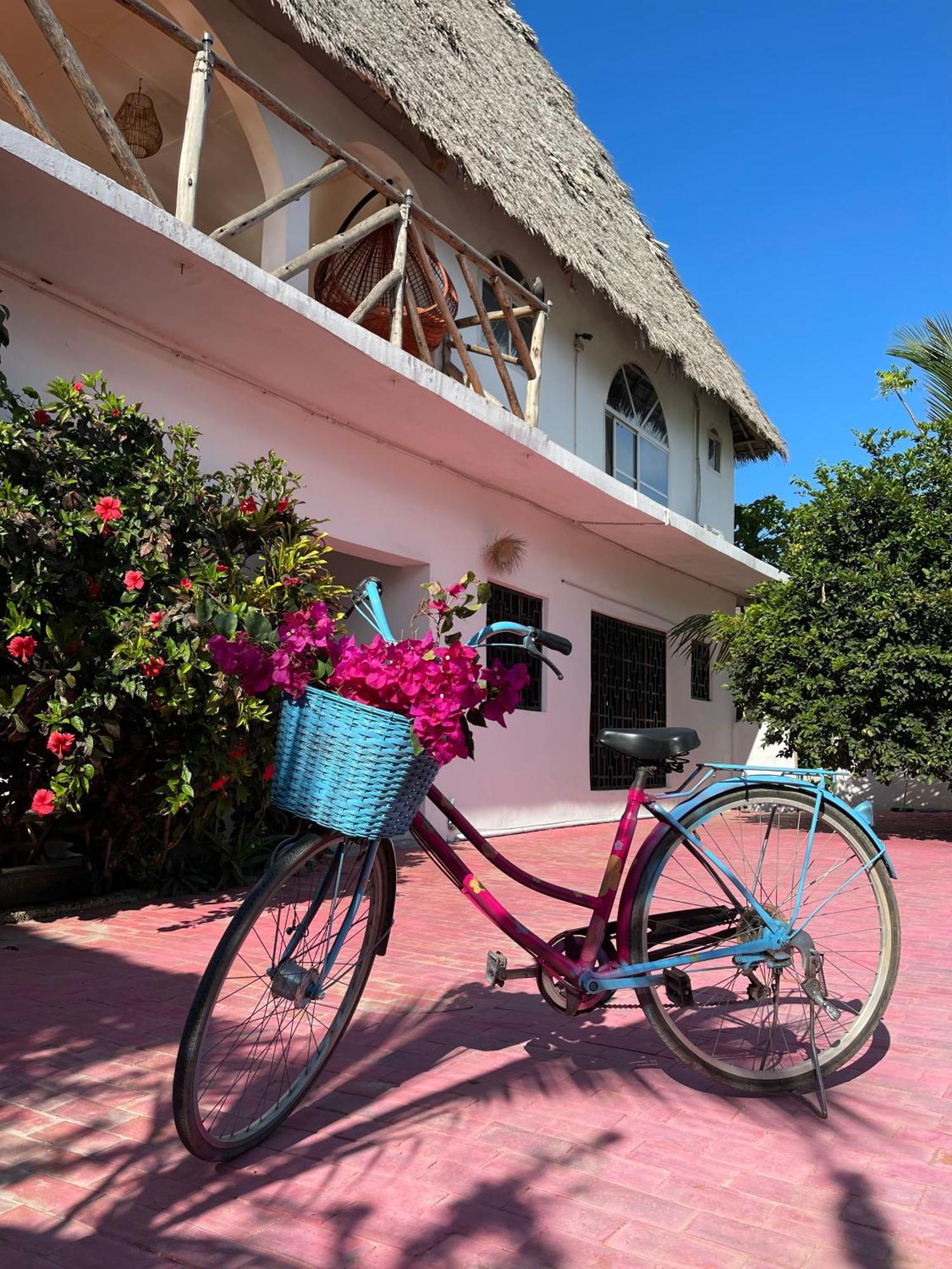 Villa Euphoria - Adults Only Paje Εξωτερικό φωτογραφία